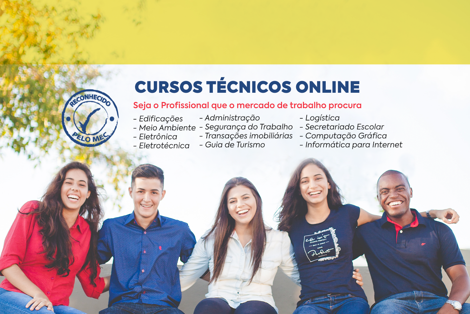 Cursos Técnicos